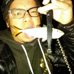 アジでイカ釣る